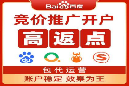 竞价SEM案例解析：电商行业营销策略